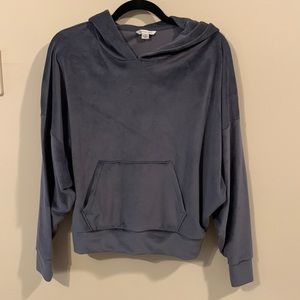 AMERICAN EAGLE Cropped Velour Hoodie Sweatshirt | Size Small